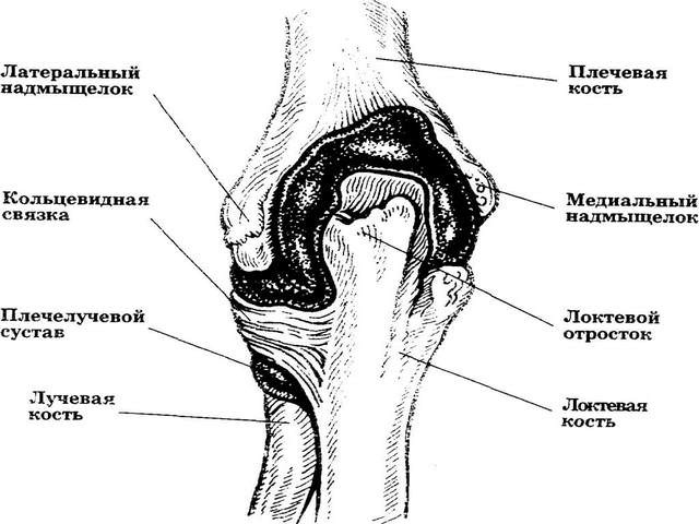 Vananevate liigeste artroos 1 kraadi Jala jala poletik on