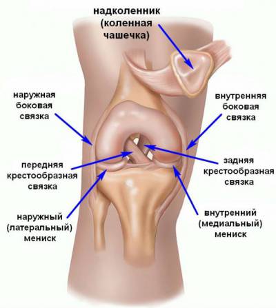 Keskmise liigese jala artroos Liigeste ja lihaste valu ekslemine