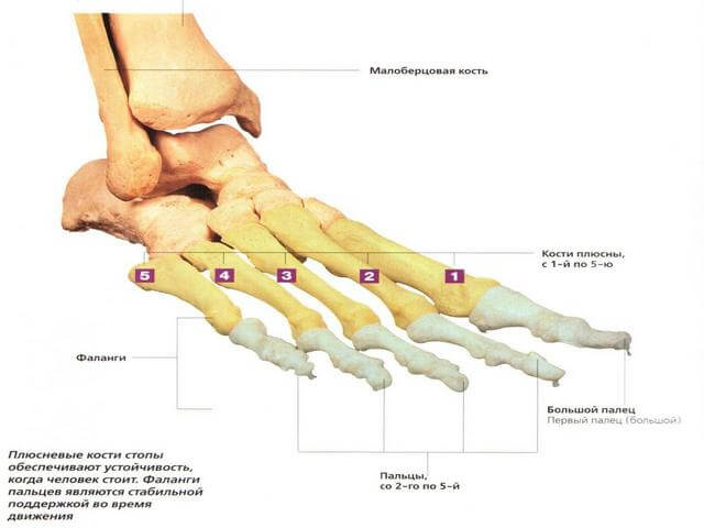 Kipsi ja liigesevalu Artriidi sorme kaed pohjustavad valimust